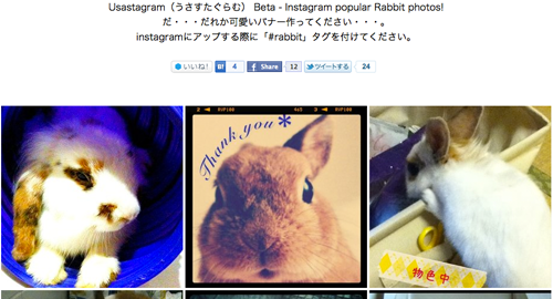 Usastagram（うさすたぐらむ） Beta - Instagram popular Rabbit photos!